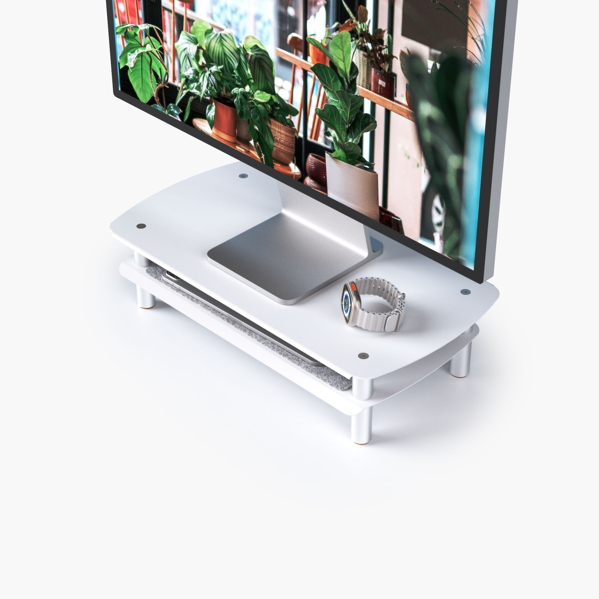 Vista 2